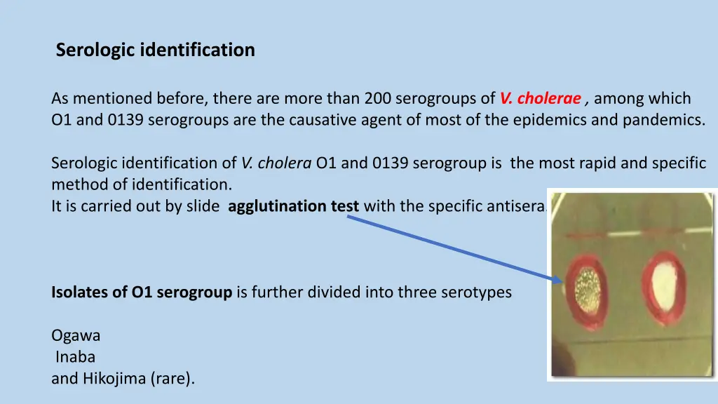 serologic identification