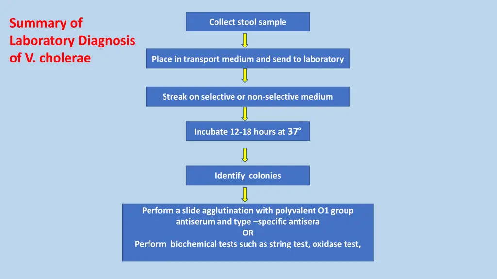 summary of laboratory diagnosis of v cholerae