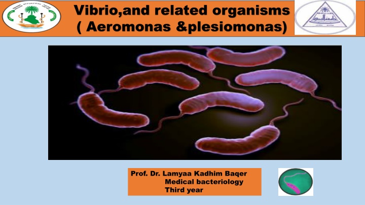 vibrio and related organisms aeromonas plesiomonas