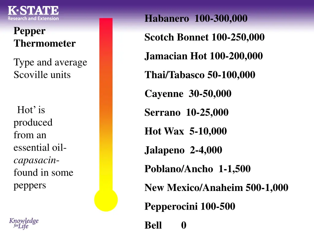 habanero 100 300 000