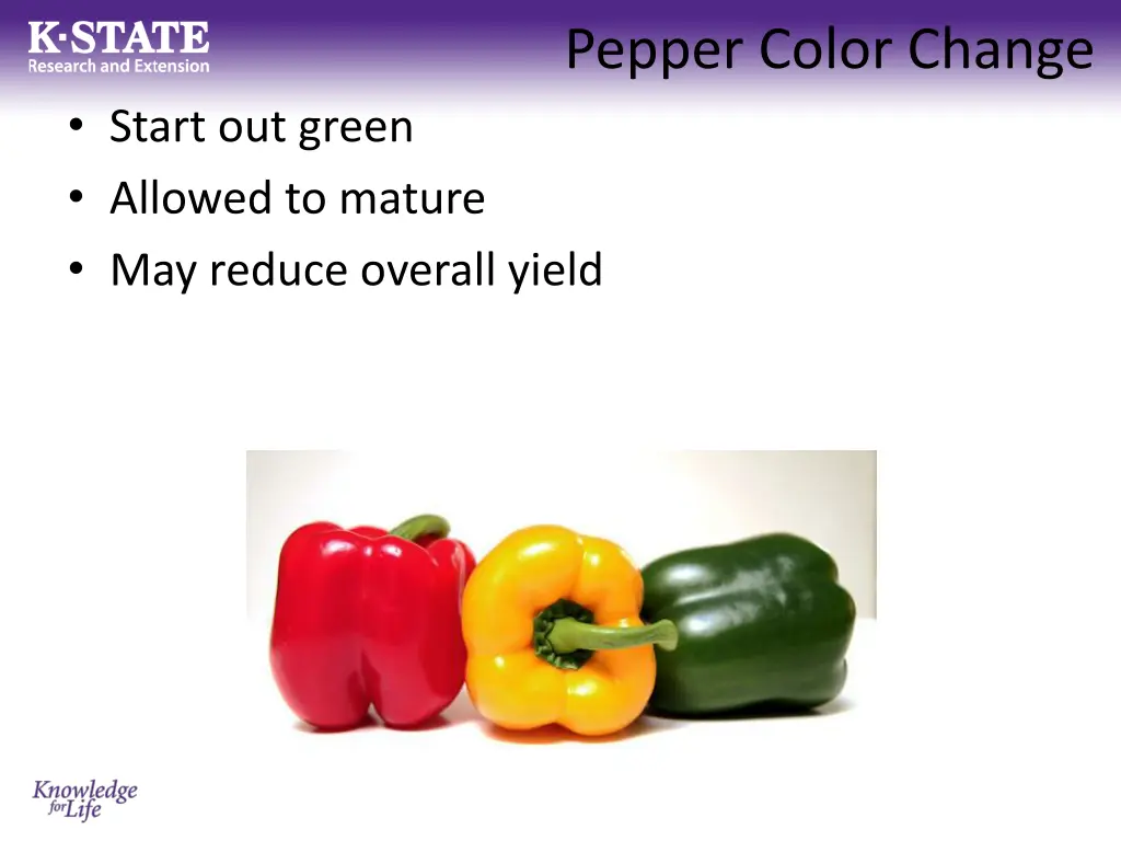 pepper color change