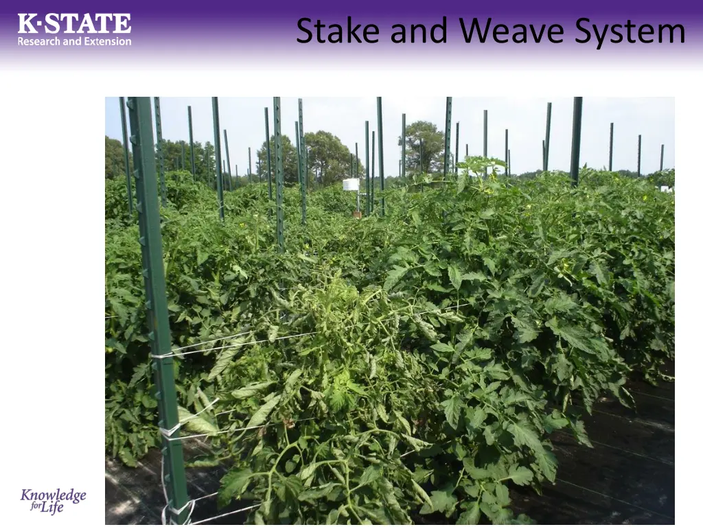 stake and weave system