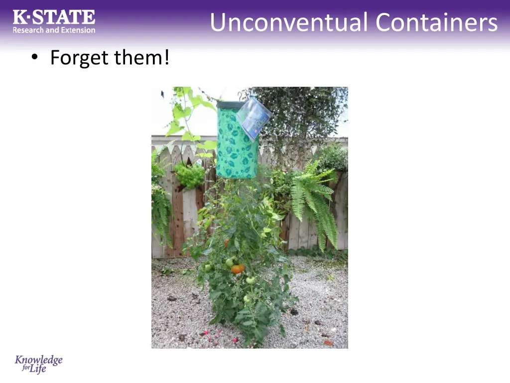 unconventual containers