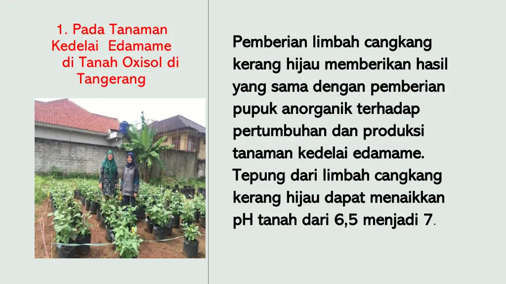 1 pada tanaman kedelai edamame di tanah oxisol