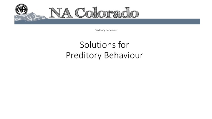 preditory behaviour