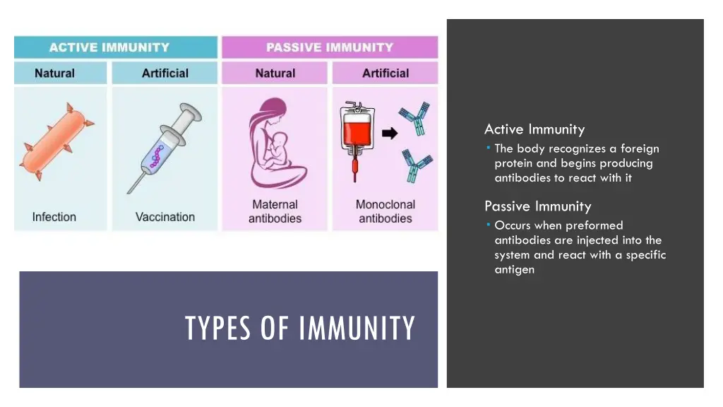 active immunity the body recognizes a foreign