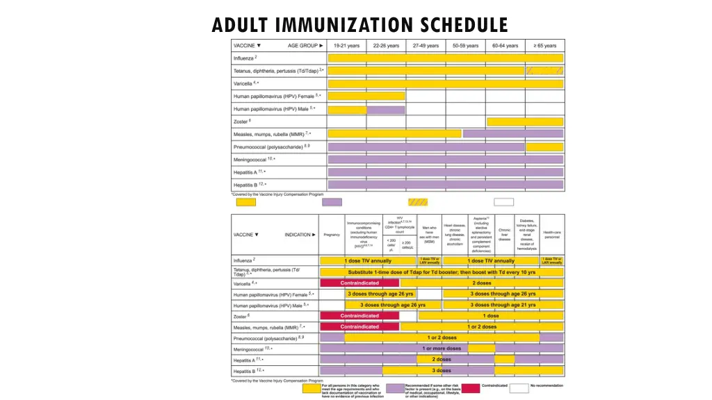 adult immunization schedule