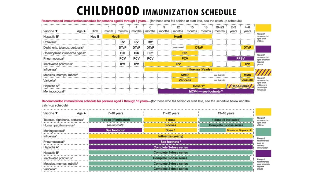 childhood immunization schedule