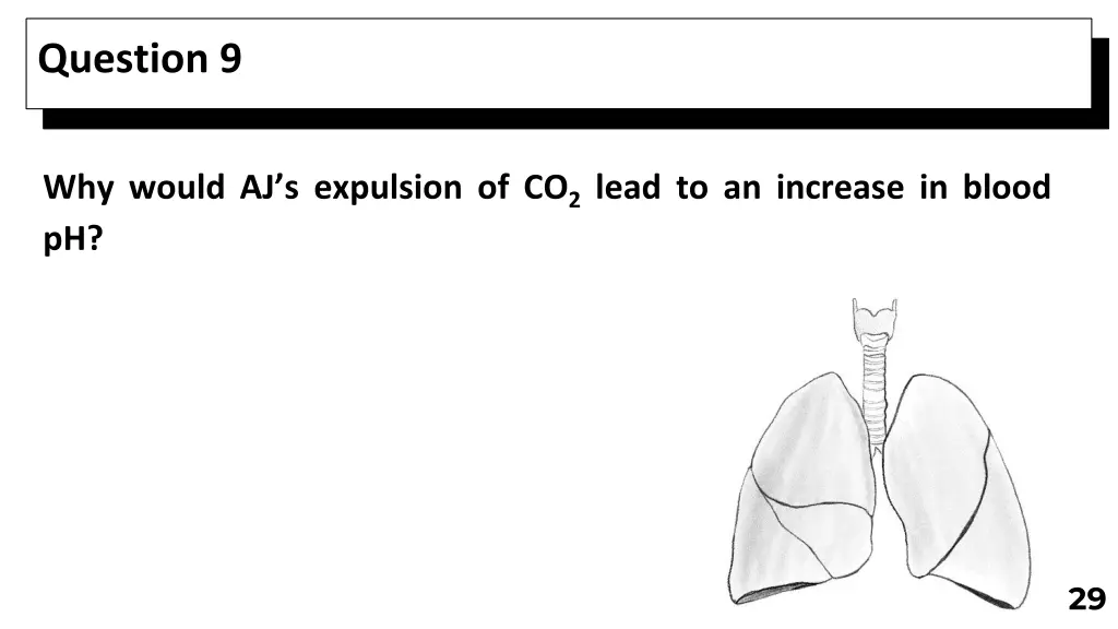 question 9