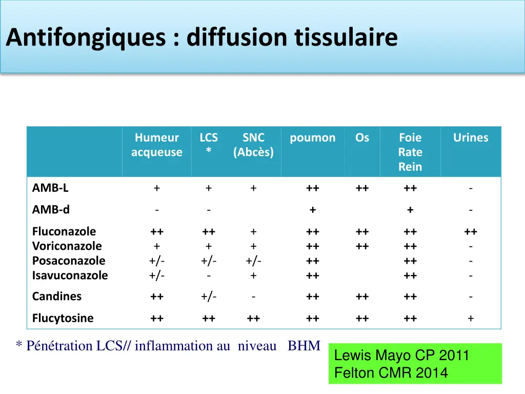 antifongiques diffusion tissulaire