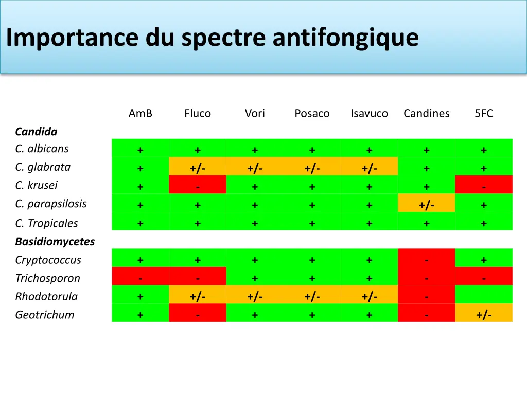 importance du spectre antifongique