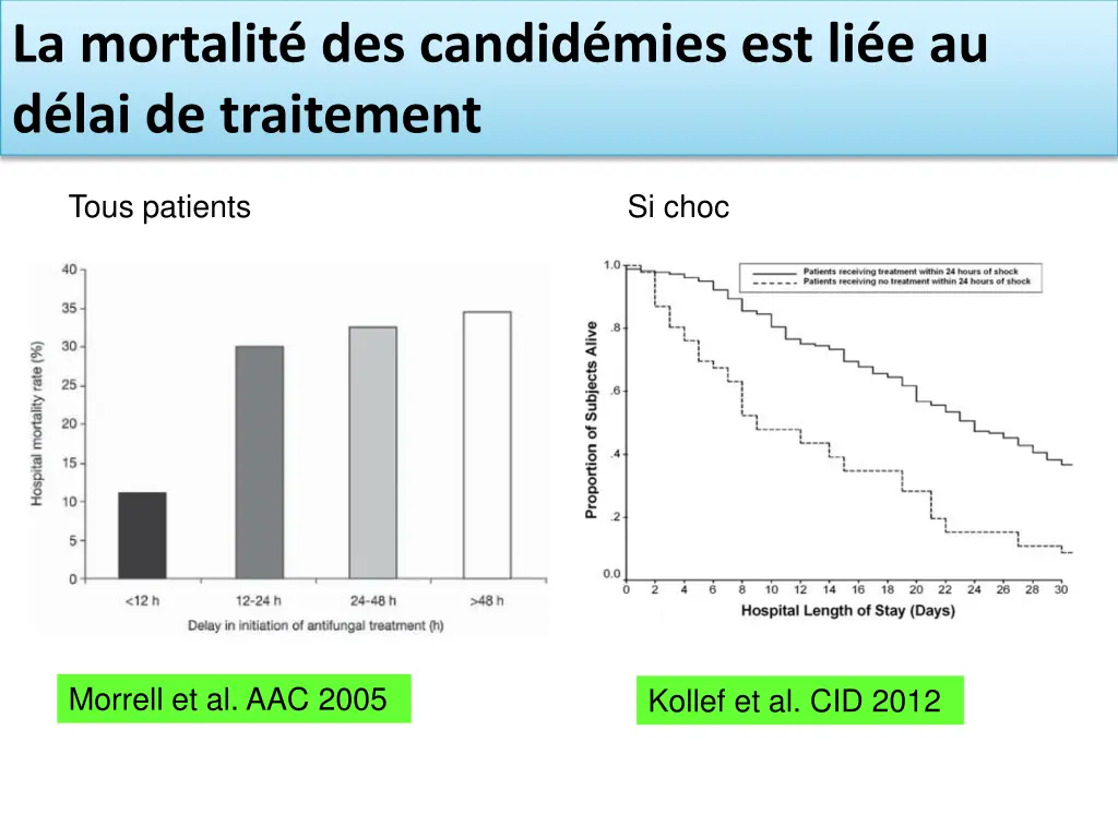 la mortalit des candid mies