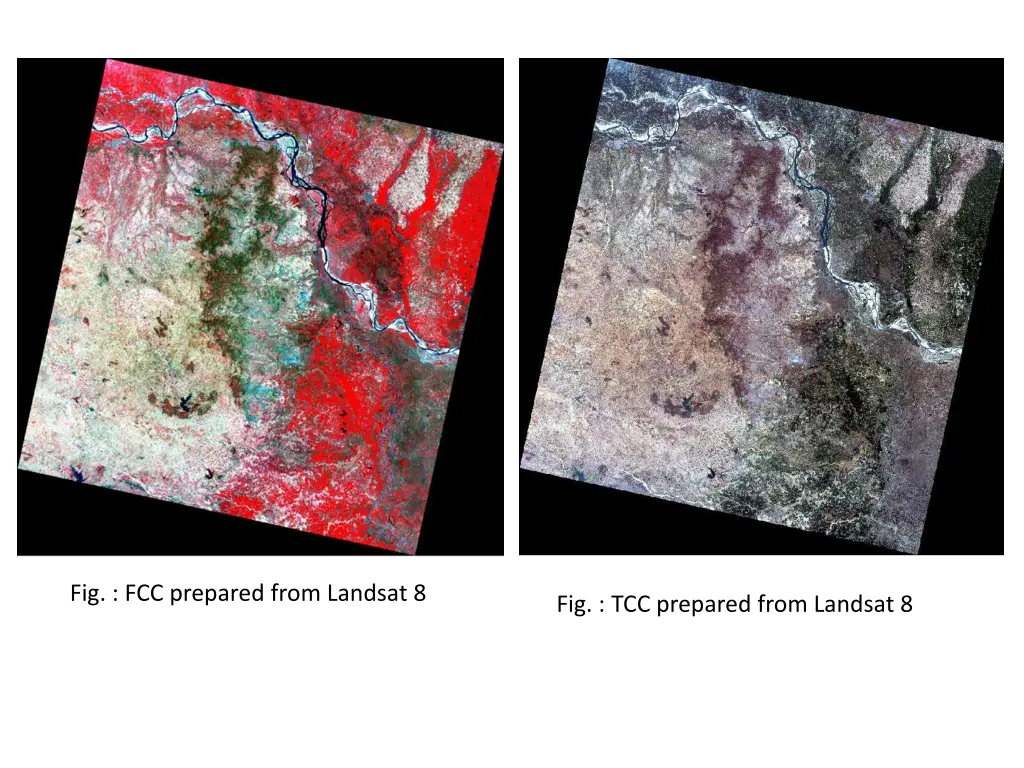 fig fcc prepared from landsat 8