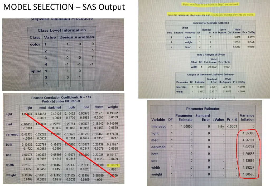 model selection sas output