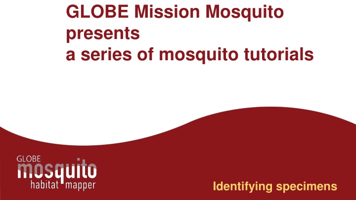 globe mission mosquito presents a series