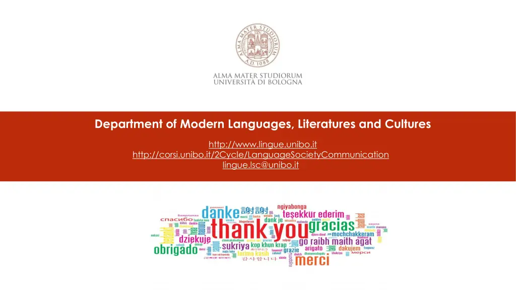 department of modern languages literatures
