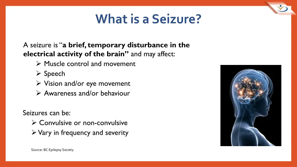 what is a seizure