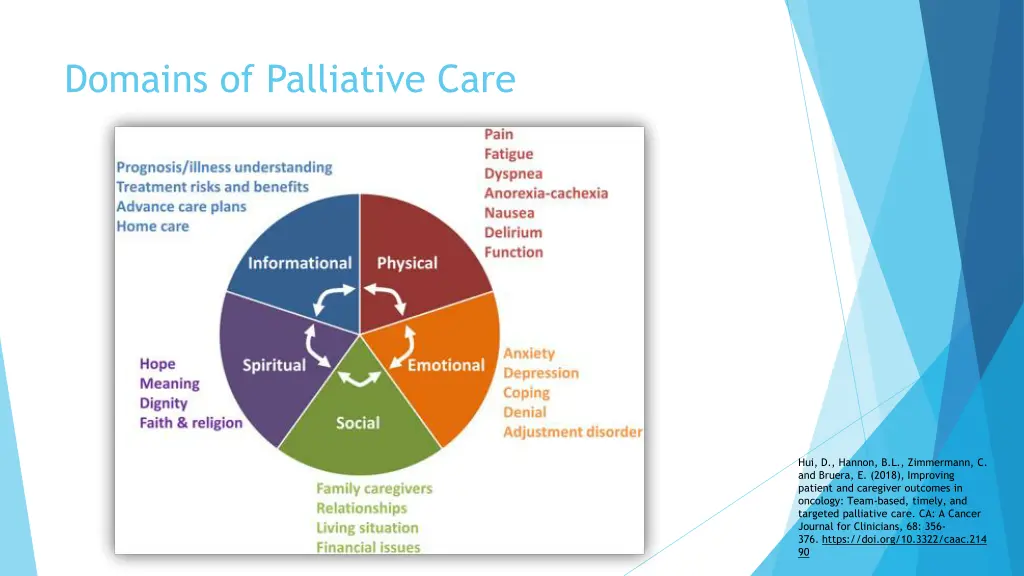 domains of palliative care