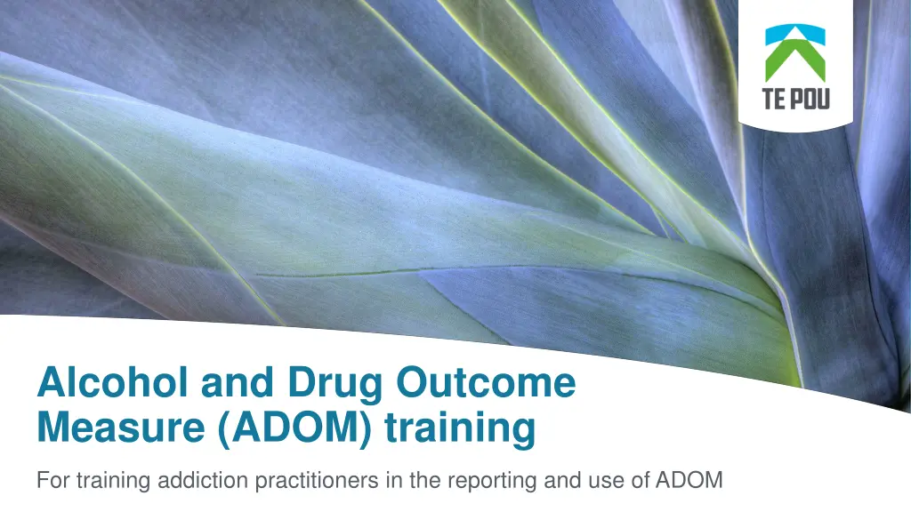 alcohol and drug outcome measure adom training