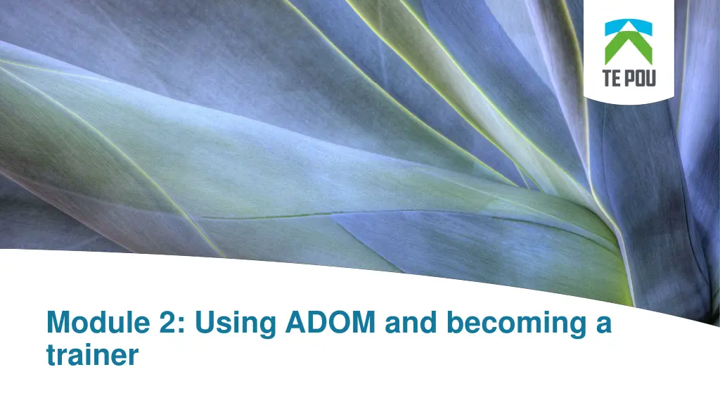 module 2 using adom and becoming a trainer