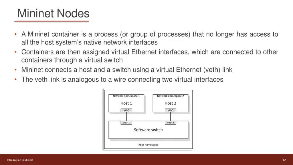 mininet nodes