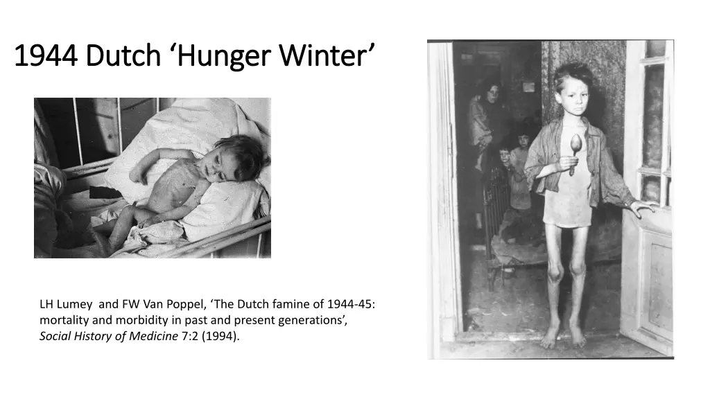 1944 dutch hunger winter 1944 dutch hunger winter