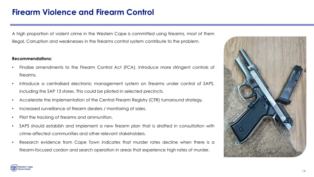 firearm violence and firearm control
