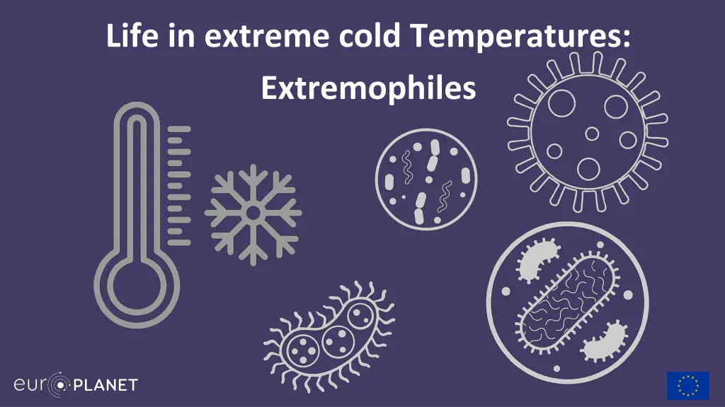 life in extreme cold temperatures extremophiles