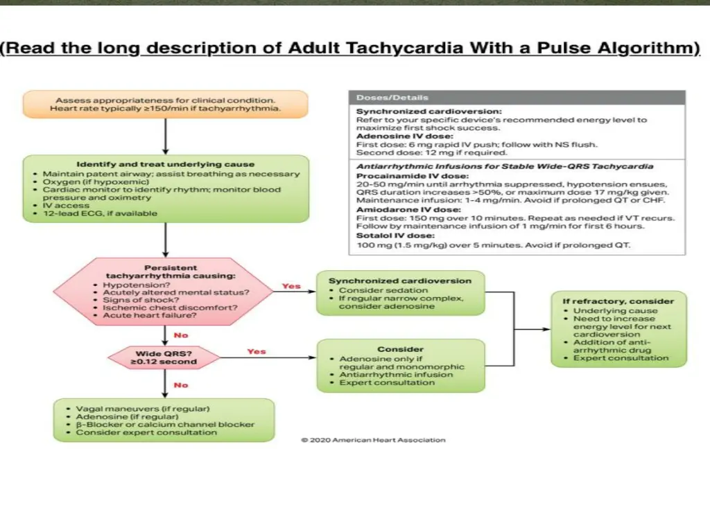 slide6