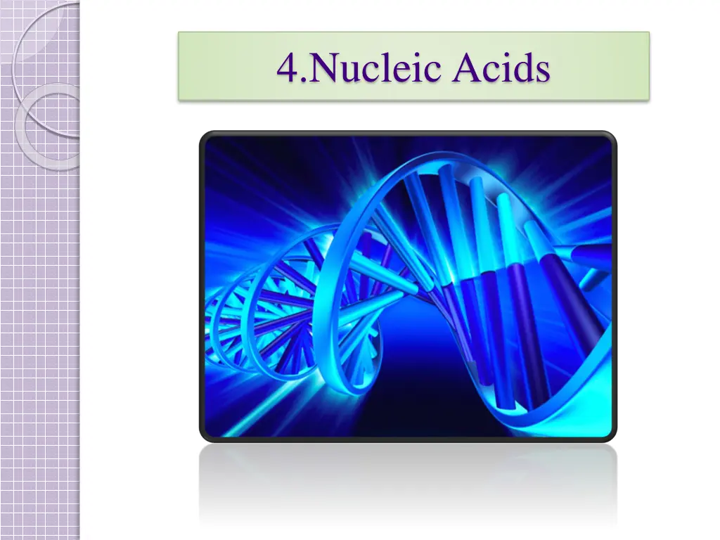 4 nucleic acids