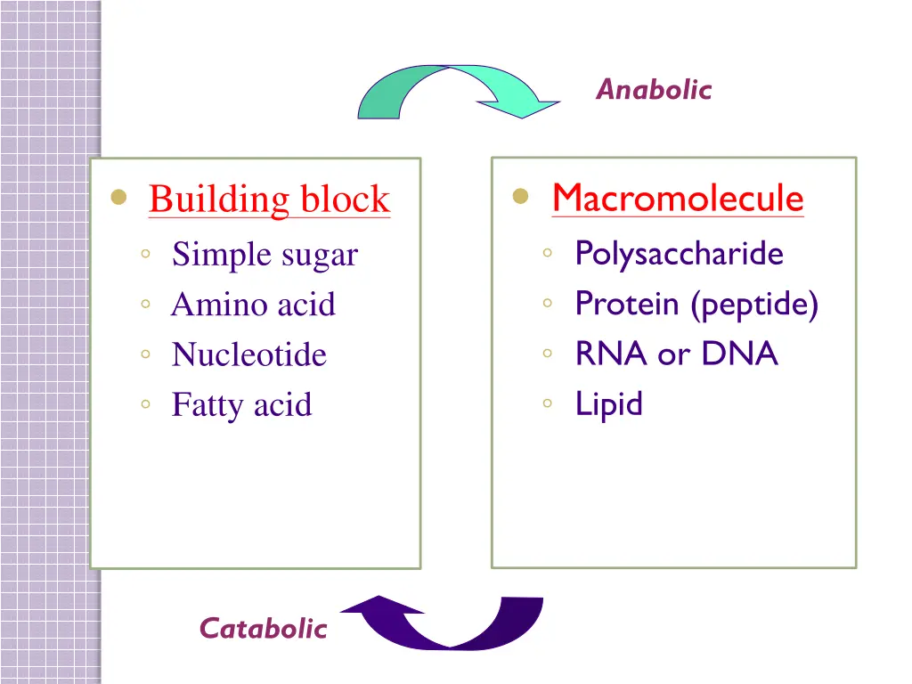 anabolic