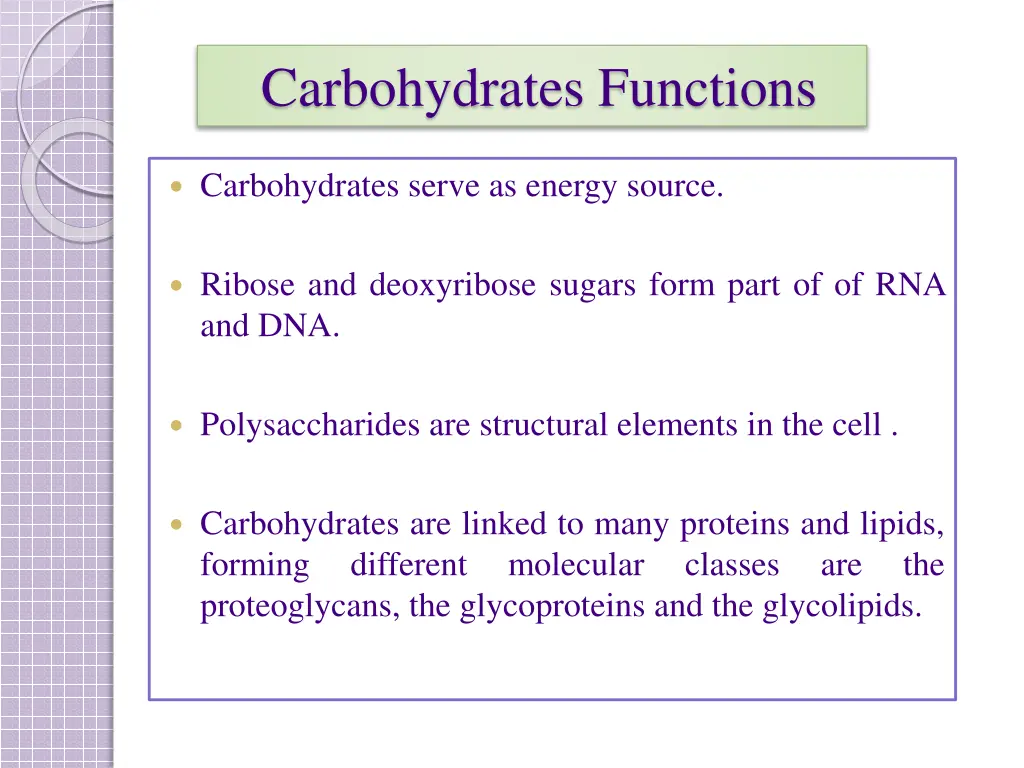 carbohydrates functions