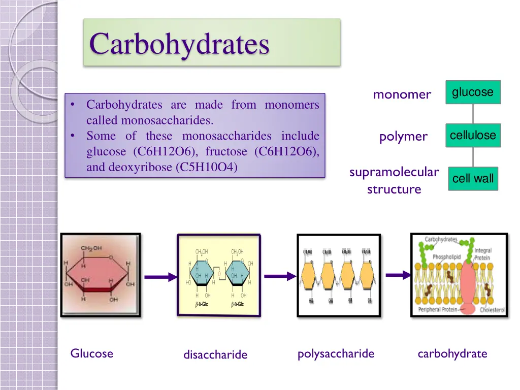 carbohydrates