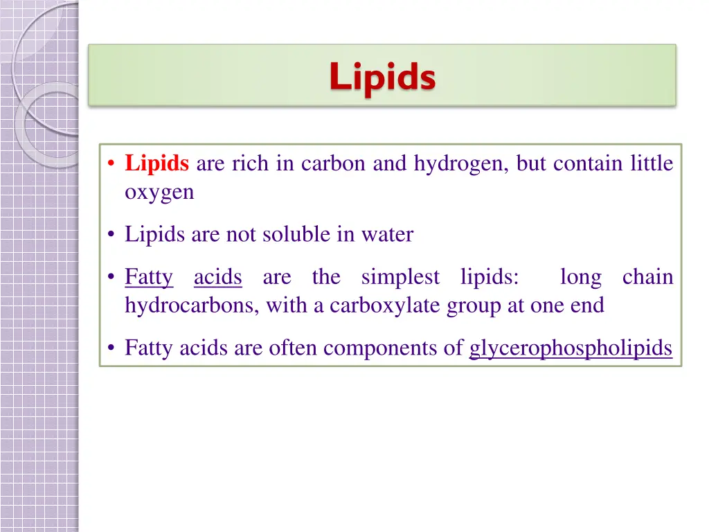 lipids