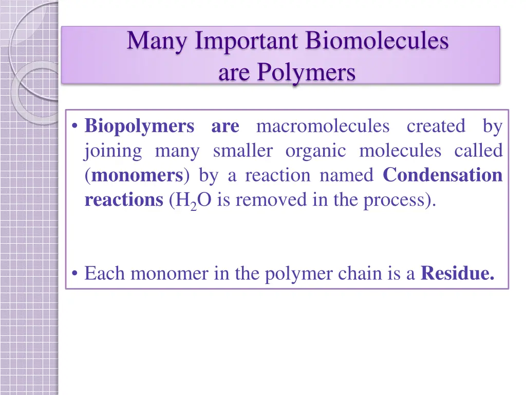 many important biomolecules are polymers