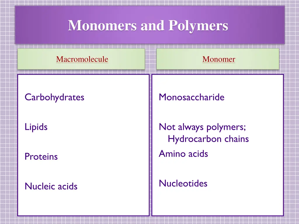 monomers and polymers