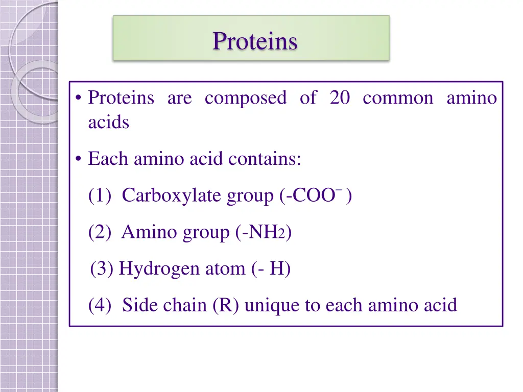 proteins 1