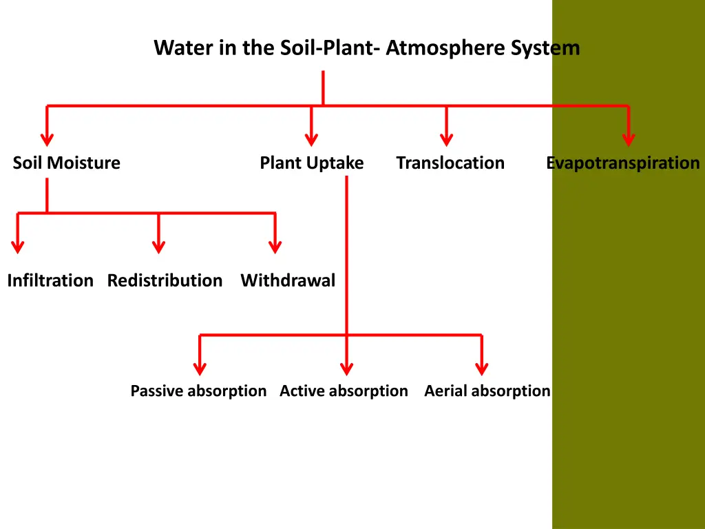 water in the soil plant atmosphere system