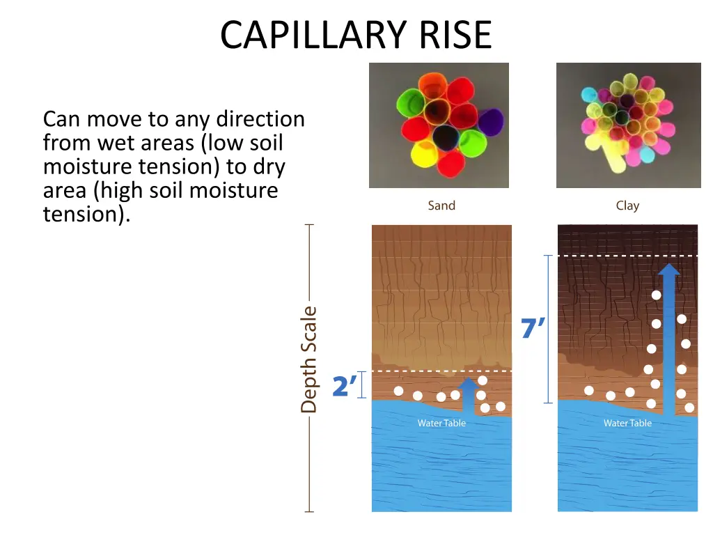 capillary rise