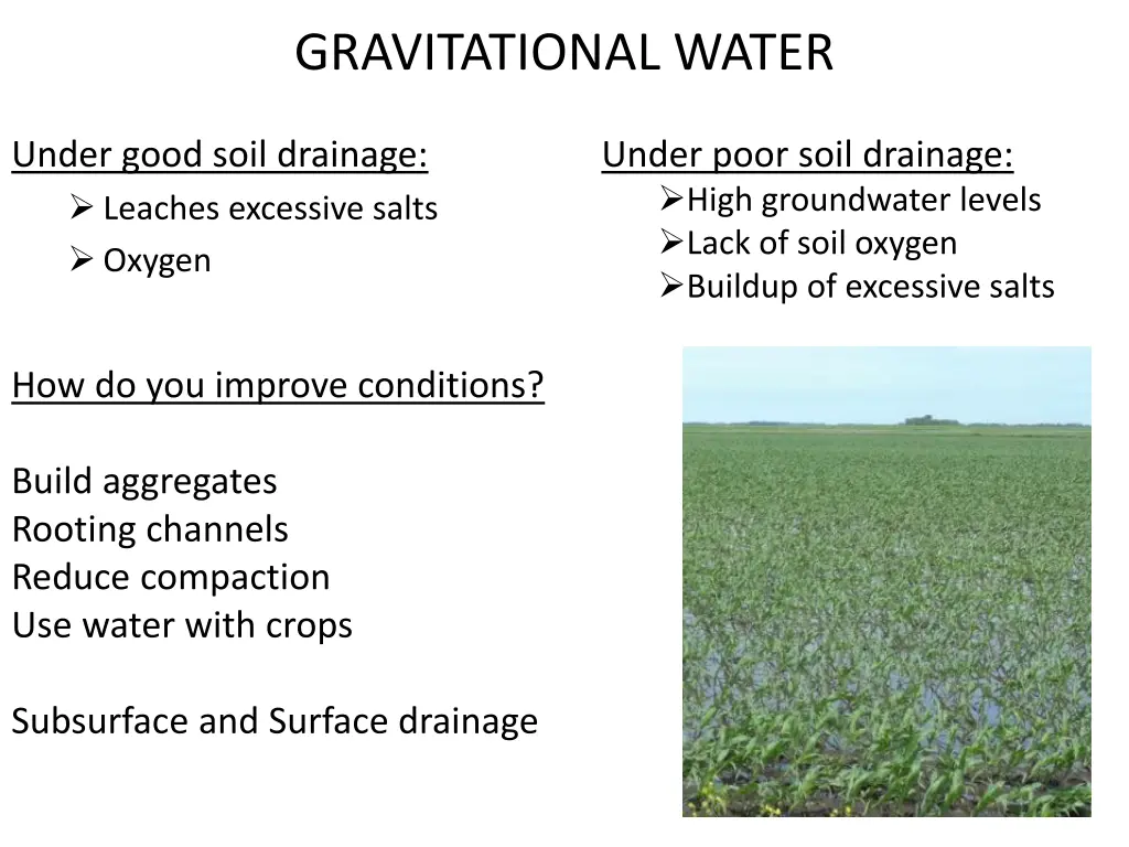 gravitational water