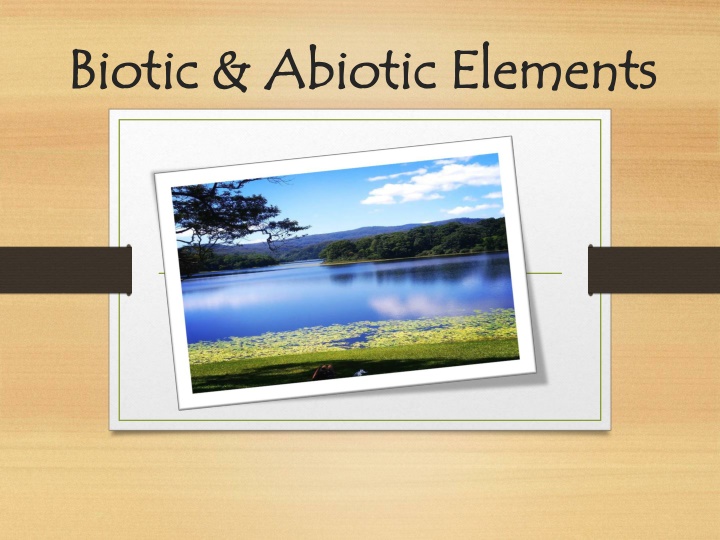 biotic abiotic elements biotic abiotic elements