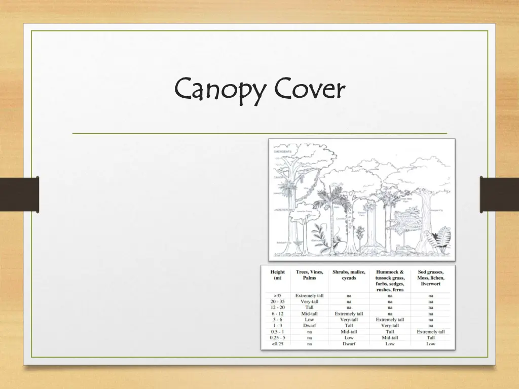 canopy cover canopy cover