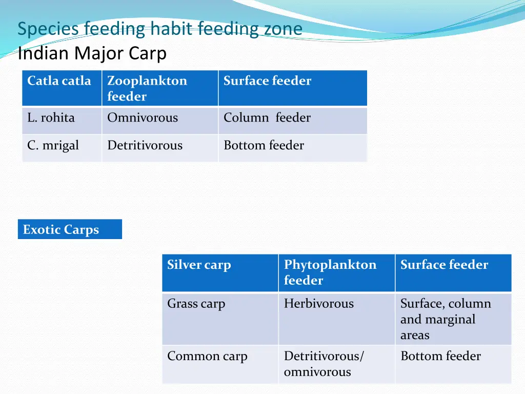 species feeding habit feeding zone indian major