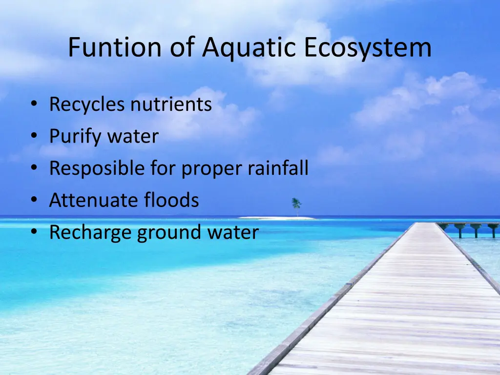 funtion of aquatic ecosystem
