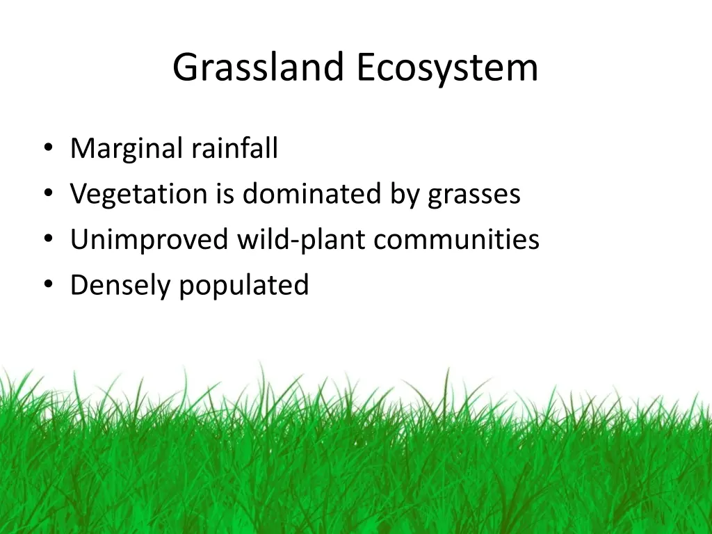 grassland ecosystem