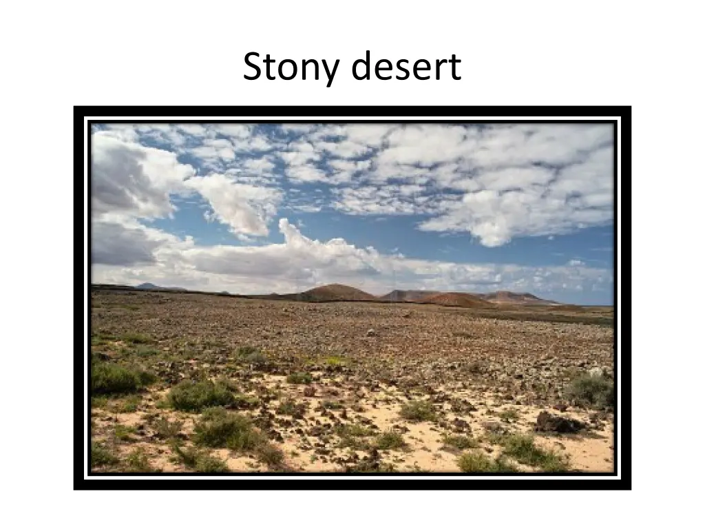 stony desert
