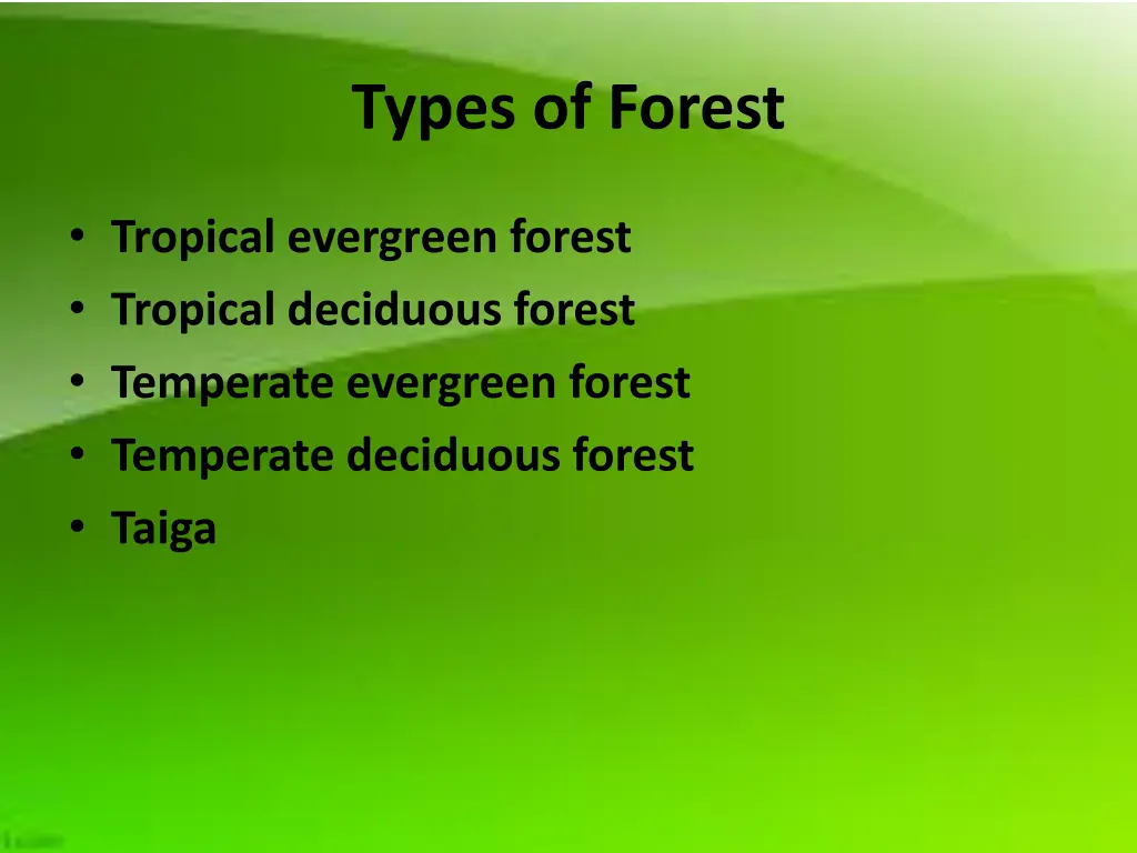 types of forest