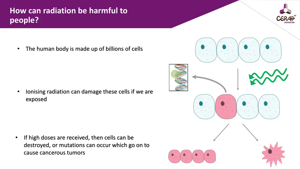 how can radiation be harmful to people