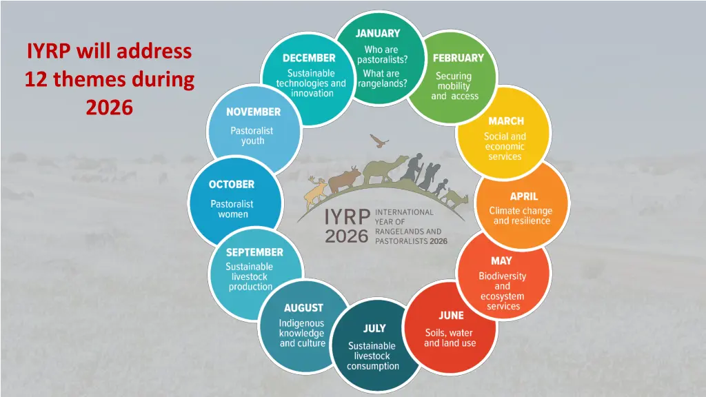 iyrp will address 12 themes during 2026