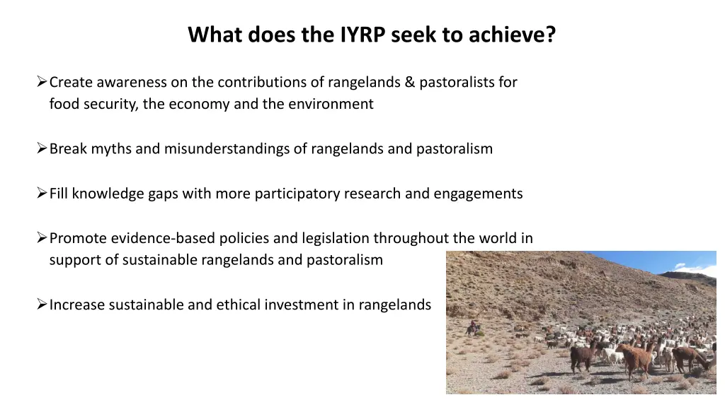 what does the iyrp seek to achieve